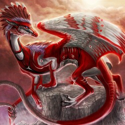 Jigsaw puzzle: The Dragon