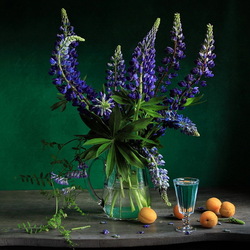 Jigsaw puzzle: Lupines and apricots