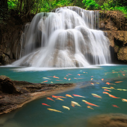 Jigsaw puzzle: Waterfall