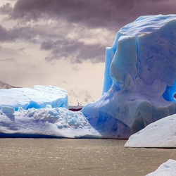 Jigsaw puzzle: Ice floes