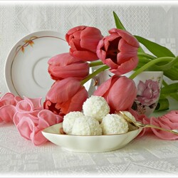 Jigsaw puzzle: Tenderness of tulips