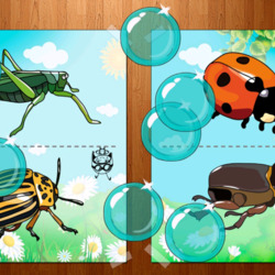 Jigsaw puzzle: Insects