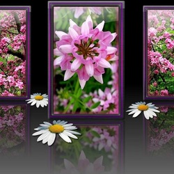 Jigsaw puzzle: Spring portraits