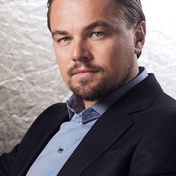 Jigsaw puzzle: Leonardo DiCaprio