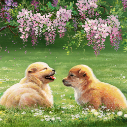 Jigsaw puzzle: Puppies