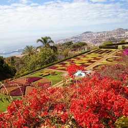 Jigsaw puzzle: Madeira Botanical Garden