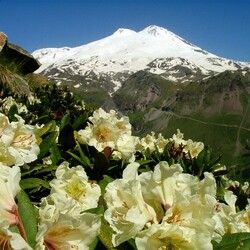 Jigsaw puzzle: View of Elbrus from Mount Cheget