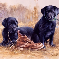 Jigsaw puzzle: Two puppies