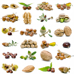 Jigsaw puzzle: Nuts