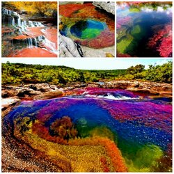 Jigsaw puzzle: Caño Cristales River