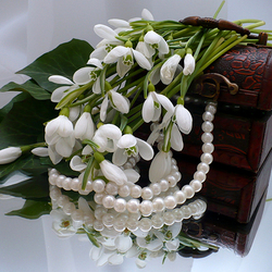 Jigsaw puzzle: Snowdrops and pearls