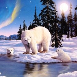 Jigsaw puzzle: Polar bears