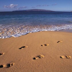 Jigsaw puzzle: Footprints in the sand