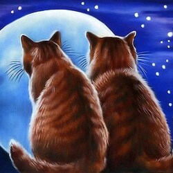 Jigsaw puzzle:  On a moonlit night
