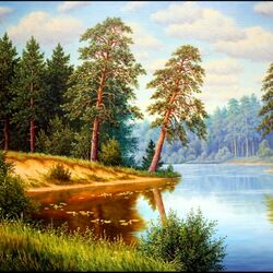Jigsaw puzzle: Pines over a quiet river