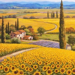 Jigsaw puzzle: Sunflower field