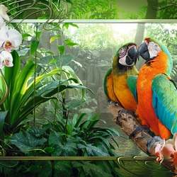 Jigsaw puzzle: Tropics