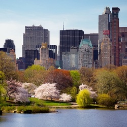 Jigsaw puzzle: Spring in the city
