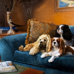 Jigsaw puzzle: Three dogs on the couch