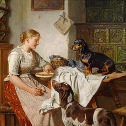 Jigsaw puzzle: Lunch for dogs
