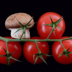 Jigsaw puzzle: Tomatoes and mushroom