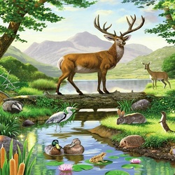 Jigsaw puzzle: Fauna of the forest