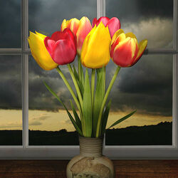 Jigsaw puzzle: Tulips at sunset