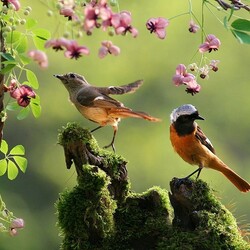 Jigsaw puzzle: Birds and flowers