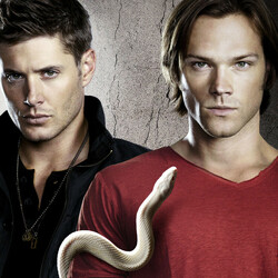 Jigsaw puzzle: Winchesters
