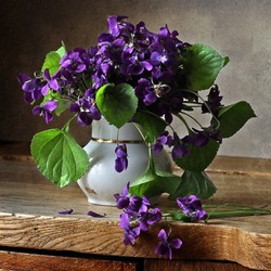Jigsaw puzzle: Forest violets