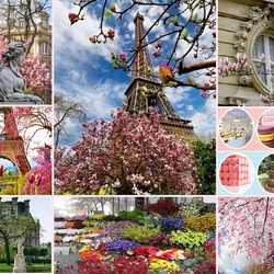 Jigsaw puzzle: Paris in spring
