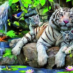 Jigsaw puzzle: White tigers