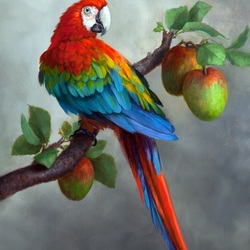 Jigsaw puzzle: Macaw