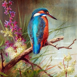 Jigsaw puzzle: Kingfisher