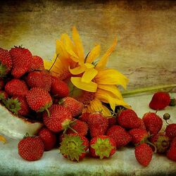 Jigsaw puzzle: Strawberry and sunflower