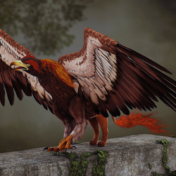 Jigsaw puzzle: Griffin