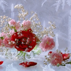 Jigsaw puzzle: Winter roses