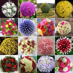 Jigsaw puzzle: Flower balls