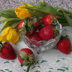 Jigsaw puzzle: Early strawberry