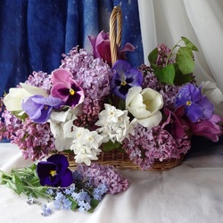 Jigsaw puzzle: Spring luxury of flowers