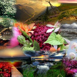 Jigsaw puzzle: Diversity of nature