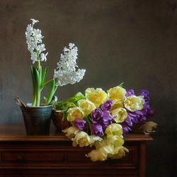 Jigsaw puzzle: Hyacinths and tulips