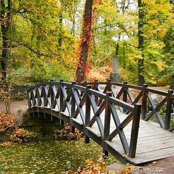 Jigsaw puzzle: Bridge in the old park