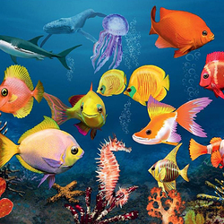 Jigsaw puzzle: Colorful fishes