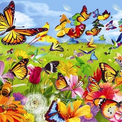 Jigsaw puzzle: Abundance of butterflies