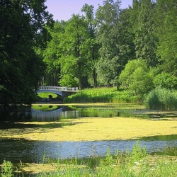 Jigsaw puzzle: Pond in Tsarskoe Selo
