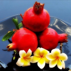 Jigsaw puzzle: Pomegranates and flowers