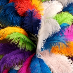 Jigsaw puzzle: Colored feathers