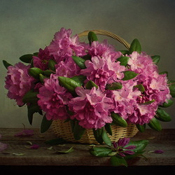 Jigsaw puzzle: Rhododendron bouquet