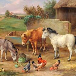 Jigsaw puzzle: Ponies, donkeys and chickens